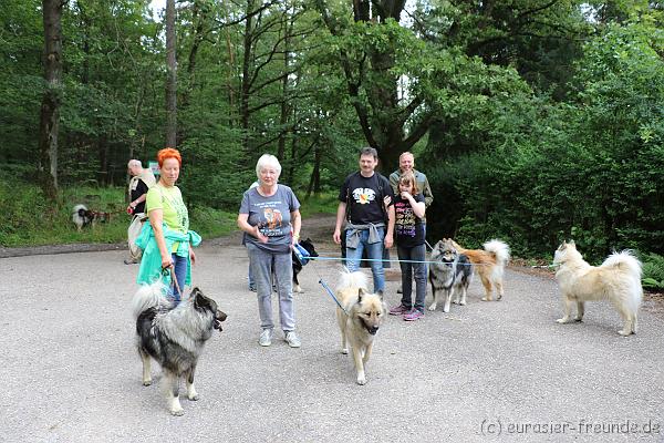 Foto_Goslar_Oberheinriet_13u14.07.2019_IMG_4168.JPG