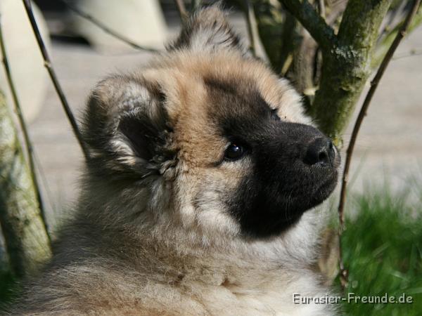 album02_bild_10_IMG_9397.JPG - Manchmal tue ich auch so, als wenn sie mich berhaupt nicht interessiert ...