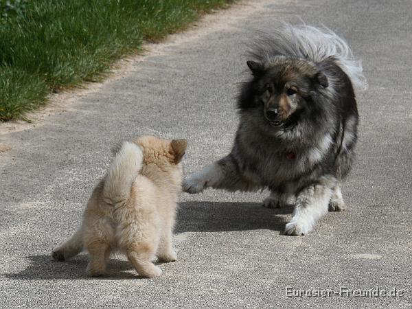 album02_bild_18_IMG_9511.JPG - ... aber toben macht uns beiden Spa!